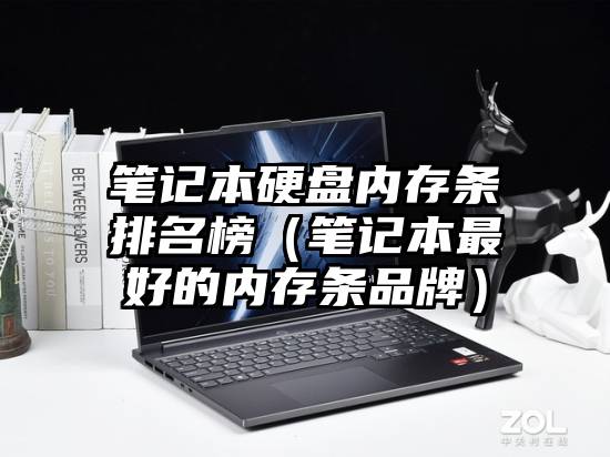 笔记本硬盘内存条排名榜(笔记本最好的内存条品牌)
