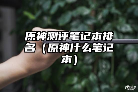 原神测评笔记本排名（原神什么笔记本）