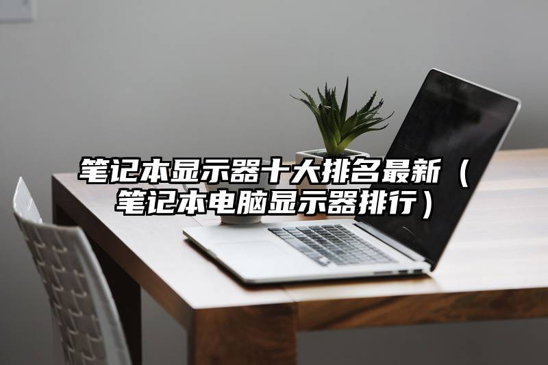 笔记本显示器十大排名最新(笔记本电脑显示器排行)
