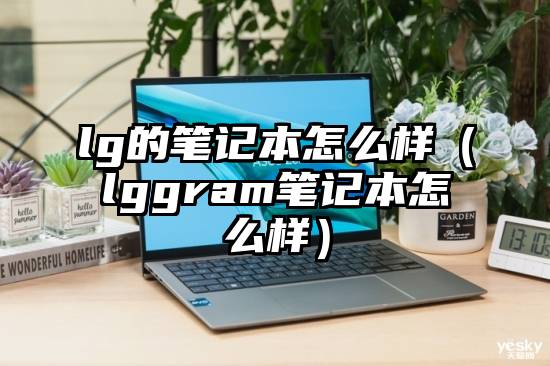 lg的笔记本怎么样（lggram笔记本怎么样）