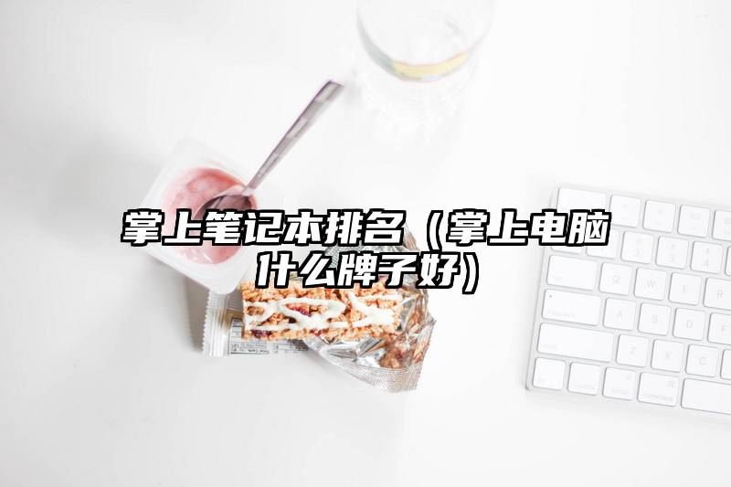 掌上笔记本排名(掌上电脑什么牌子好)