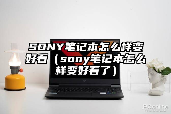 SONY笔记本怎么样变好看（sony笔记本怎么样变好看了）