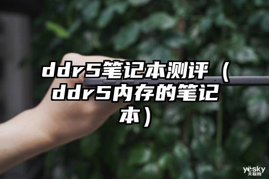 ddr5笔记本测评（ddr5内存的笔记本）