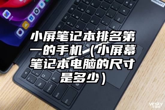 小屏笔记本排名第一的手机（小屏幕笔记本电脑的尺寸是多少）