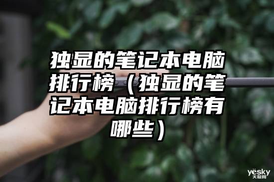 独显的笔记本电脑排行榜（独显的笔记本电脑排行榜有哪些）