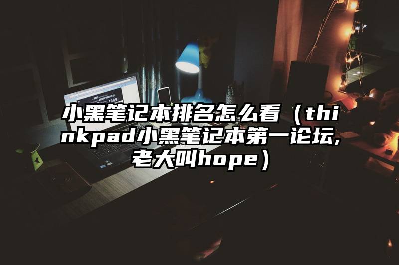 小黑笔记本排名怎么看(thinkpad小黑笔记本第一论坛,老大叫hope)