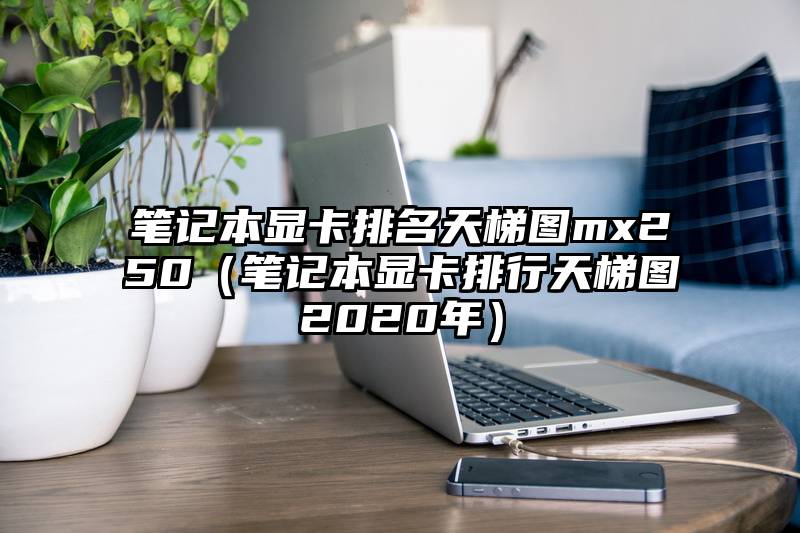 笔记本显卡排名天梯图mx250(笔记本显卡排行天梯图2020年)