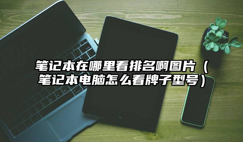 笔记本在哪里看排名啊图片(笔记本电脑怎么看牌子型号)