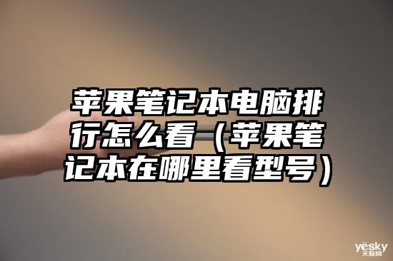 苹果笔记本电脑排行怎么看(苹果笔记本在哪里看型号)
