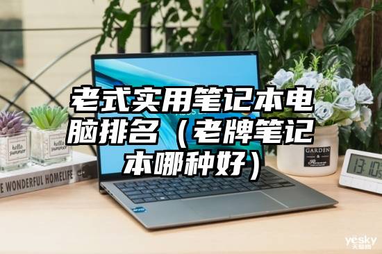 老式实用笔记本电脑排名（老牌笔记本哪种好）
