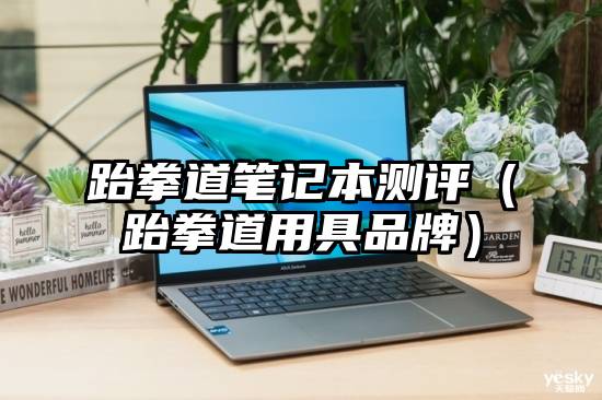 跆拳道笔记本测评（跆拳道用具品牌）