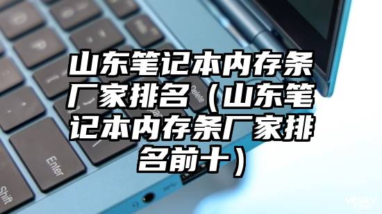 山东笔记本内存条厂家排名（山东笔记本内存条厂家排名前十）