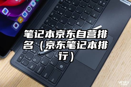 笔记本京东自营排名（京东笔记本排行）