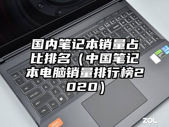 国内笔记本销量占比排名（中国笔记本电脑销量排行榜2020）