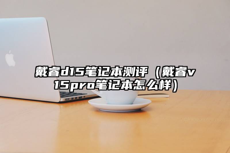 戴睿d15笔记本测评（戴睿v15pro笔记本怎么样）