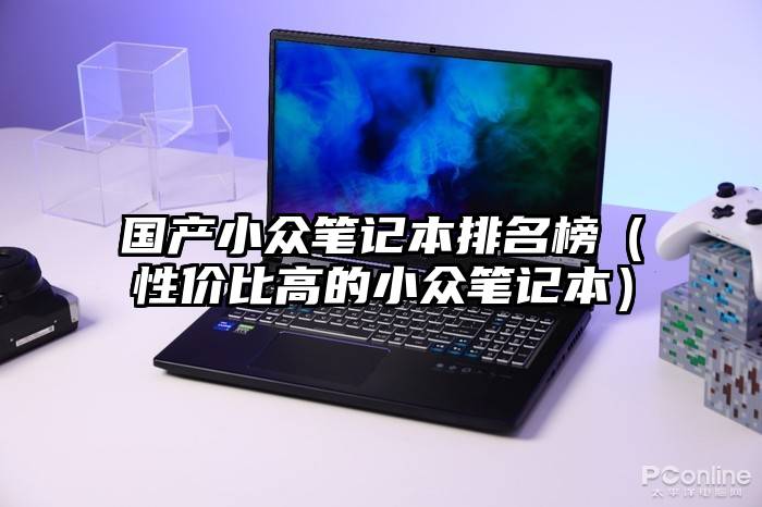 国产小众笔记本排名榜（性价比高的小众笔记本）
