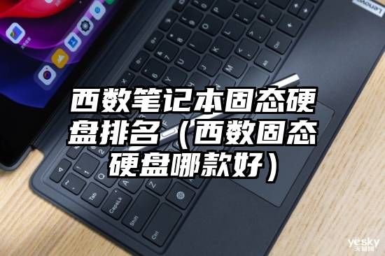 西数笔记本固态硬盘排名（西数固态硬盘哪款好）