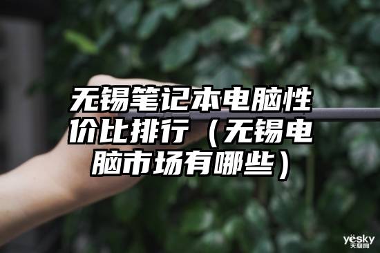 无锡笔记本电脑性价比排行（无锡电脑市场有哪些）