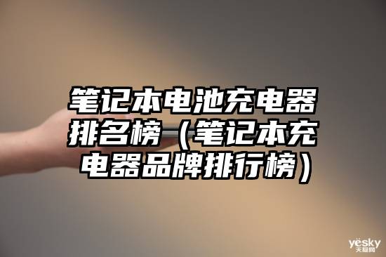 笔记本电池充电器排名榜（笔记本充电器品牌排行榜）