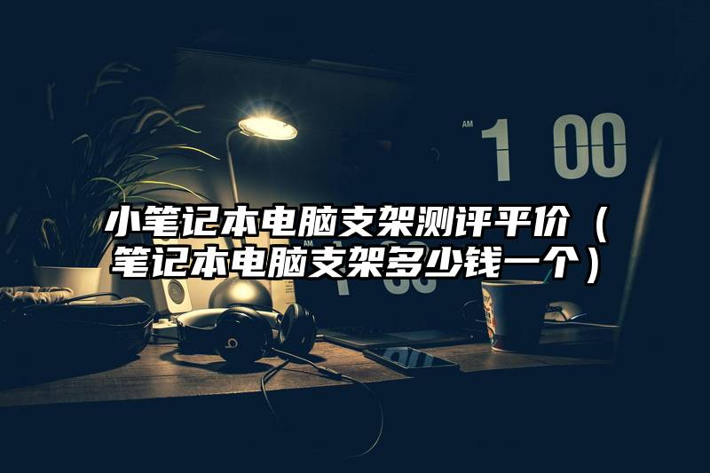小笔记本电脑支架测评平价（笔记本电脑支架多少钱一个）