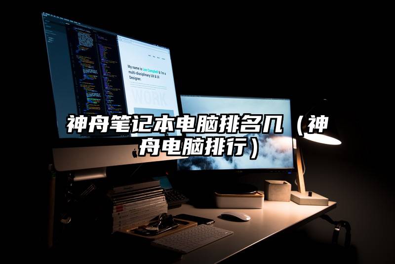 神舟笔记本电脑排名几（神舟电脑排行）