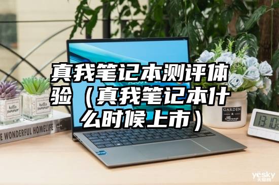 真我笔记本测评体验（真我笔记本什么时候上市）