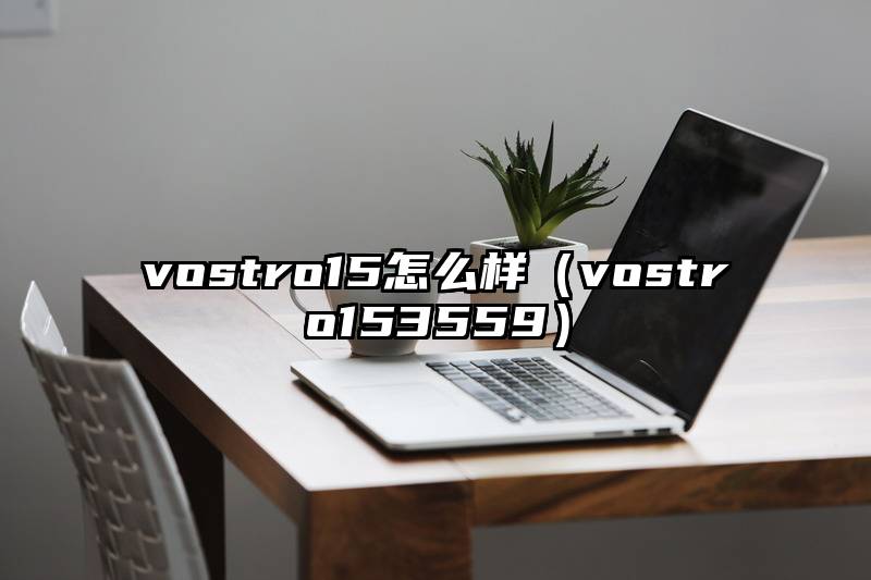 vostro15怎么样(vostro153559)
