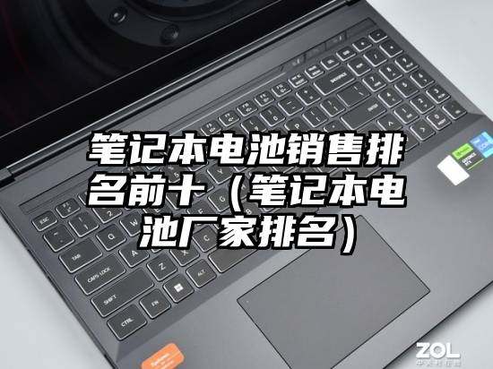 笔记本电池销售排名前十（笔记本电池厂家排名）