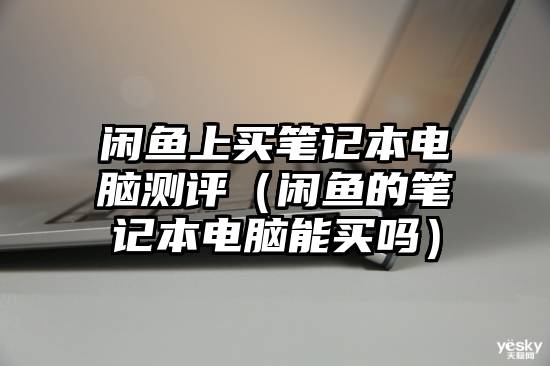 闲鱼上买笔记本电脑测评(闲鱼的笔记本电脑能买吗)