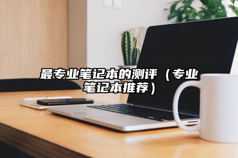 最专业笔记本的测评(专业笔记本推荐)