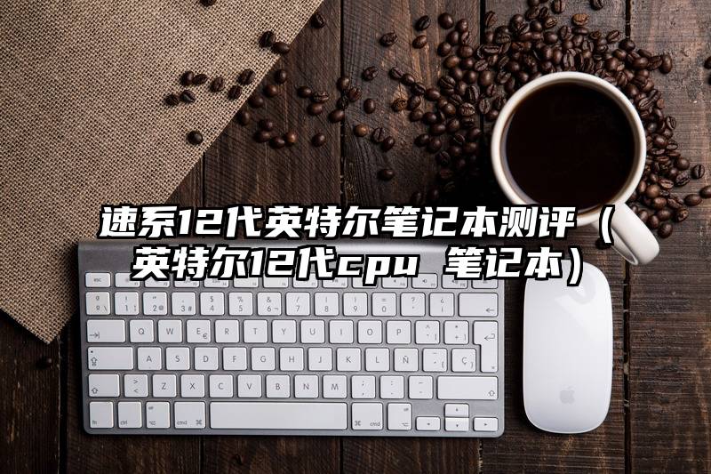 速系12代英特尔笔记本测评（英特尔12代cpu 笔记本）