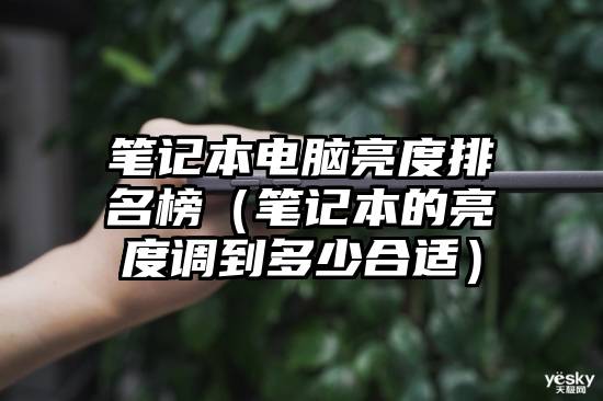 笔记本电脑亮度排名榜（笔记本的亮度调到多少合适）
