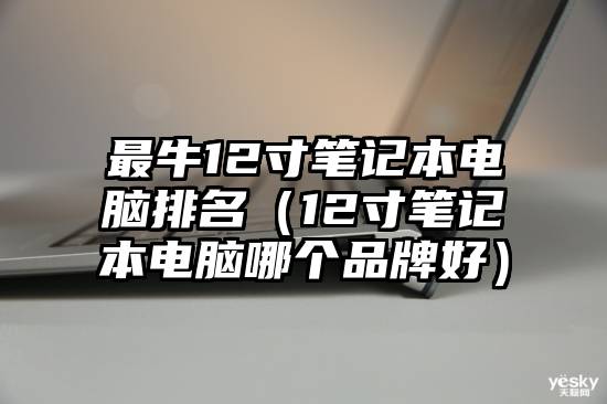 最牛12寸笔记本电脑排名（12寸笔记本电脑哪个品牌好）
