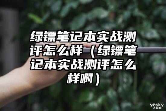 绿镖笔记本实战测评怎么样(绿镖笔记本实战测评怎么样啊)