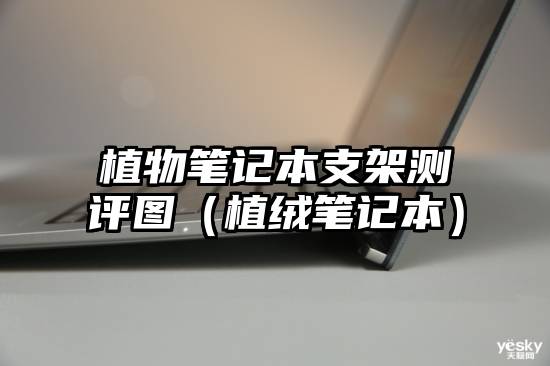 植物笔记本支架测评图(植绒笔记本)