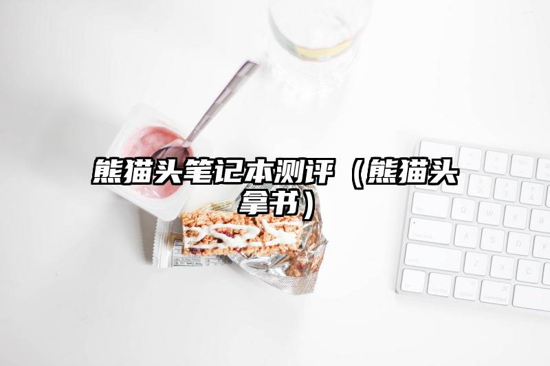 熊猫头笔记本测评（熊猫头拿书）