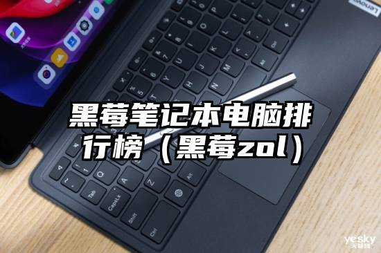 黑莓笔记本电脑排行榜（黑莓zol）