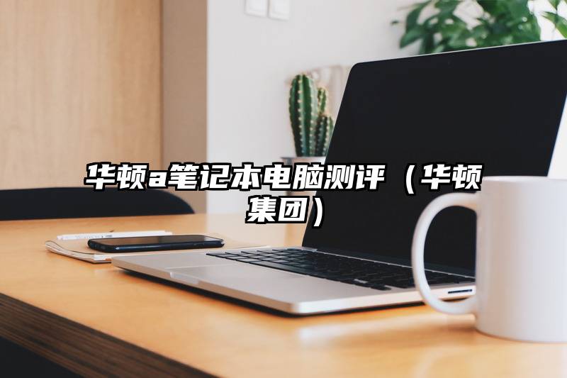 华顿a笔记本电脑测评（华顿集团）