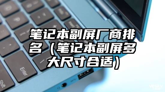笔记本副屏厂商排名（笔记本副屏多大尺寸合适）