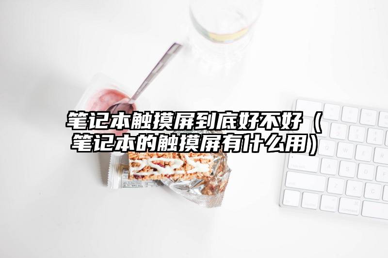 笔记本触摸屏到底好不好（笔记本的触摸屏有什么用）