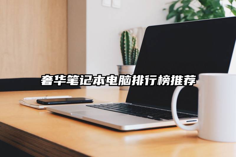 奢华笔记本电脑排行榜推荐