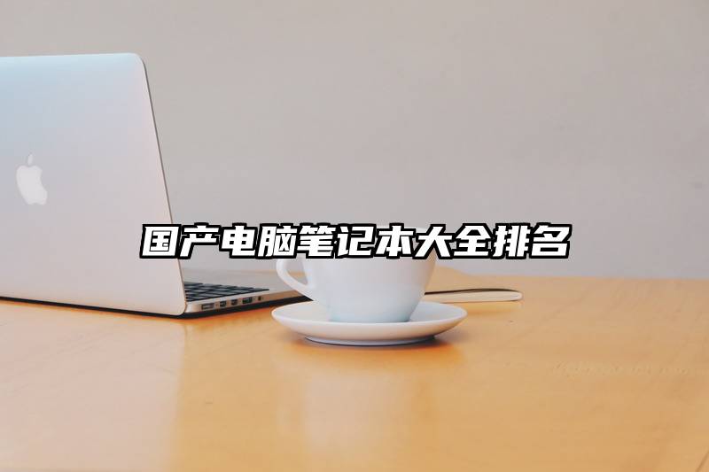 国产电脑笔记本大全排名