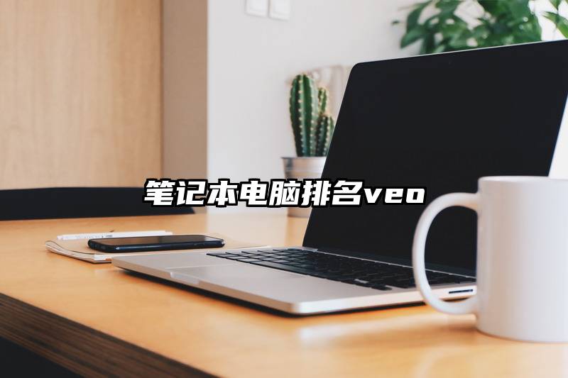笔记本电脑排名veo