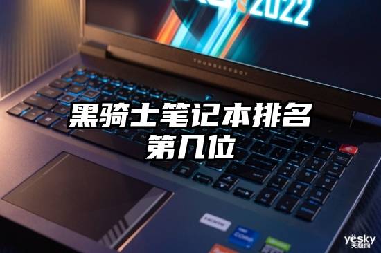 黑骑士笔记本排名第几位