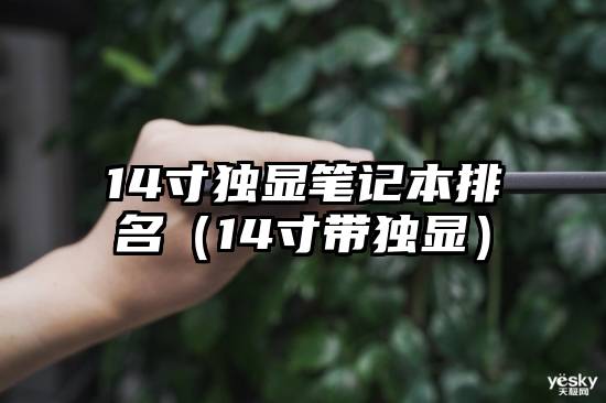14寸独显笔记本排名（14寸带独显）