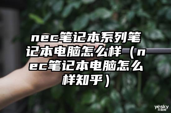 nec笔记本系列笔记本电脑怎么样（nec笔记本电脑怎么样知乎）