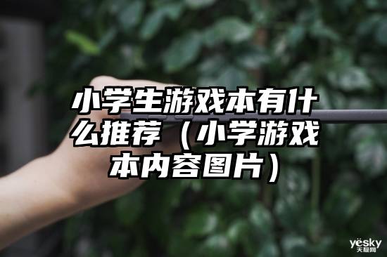 小学生游戏本有什么推荐（小学游戏本内容图片）