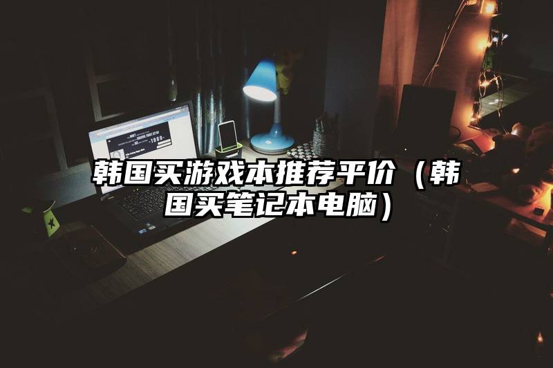 韩国买游戏本推荐平价（韩国买笔记本电脑）
