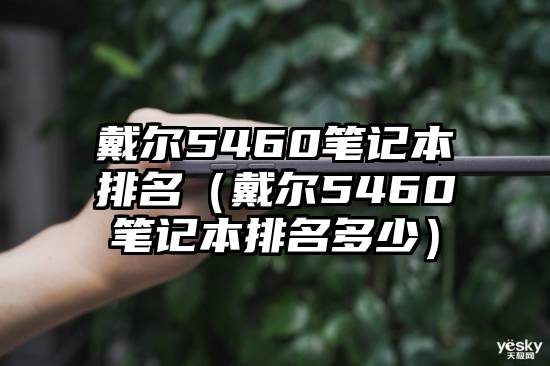 戴尔5460笔记本排名（戴尔5460笔记本排名多少）