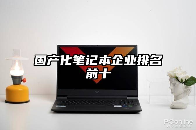 国产化笔记本企业排名前十